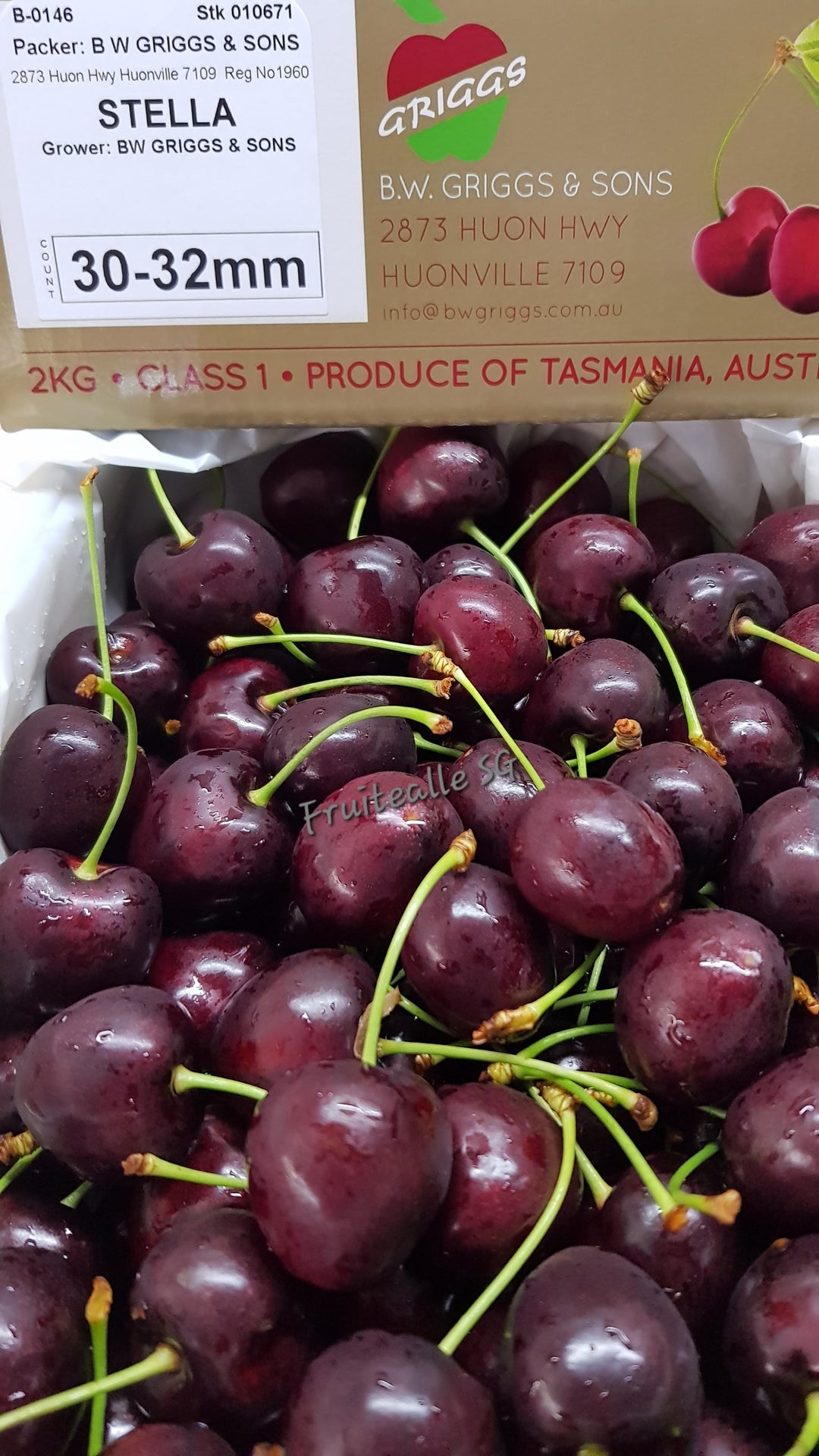 Cherry - Tasmania Premium Red Cherries | B.W. Griggs & Sons | ML 30/32mm