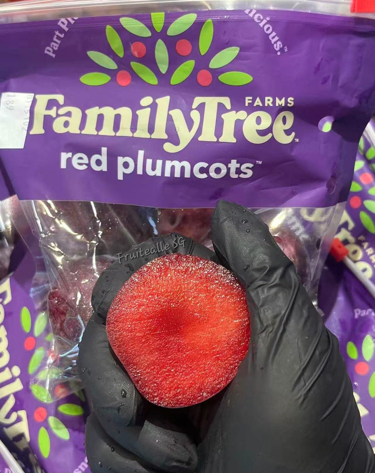 Plum - Red Summer Punch | FamilyTree USA