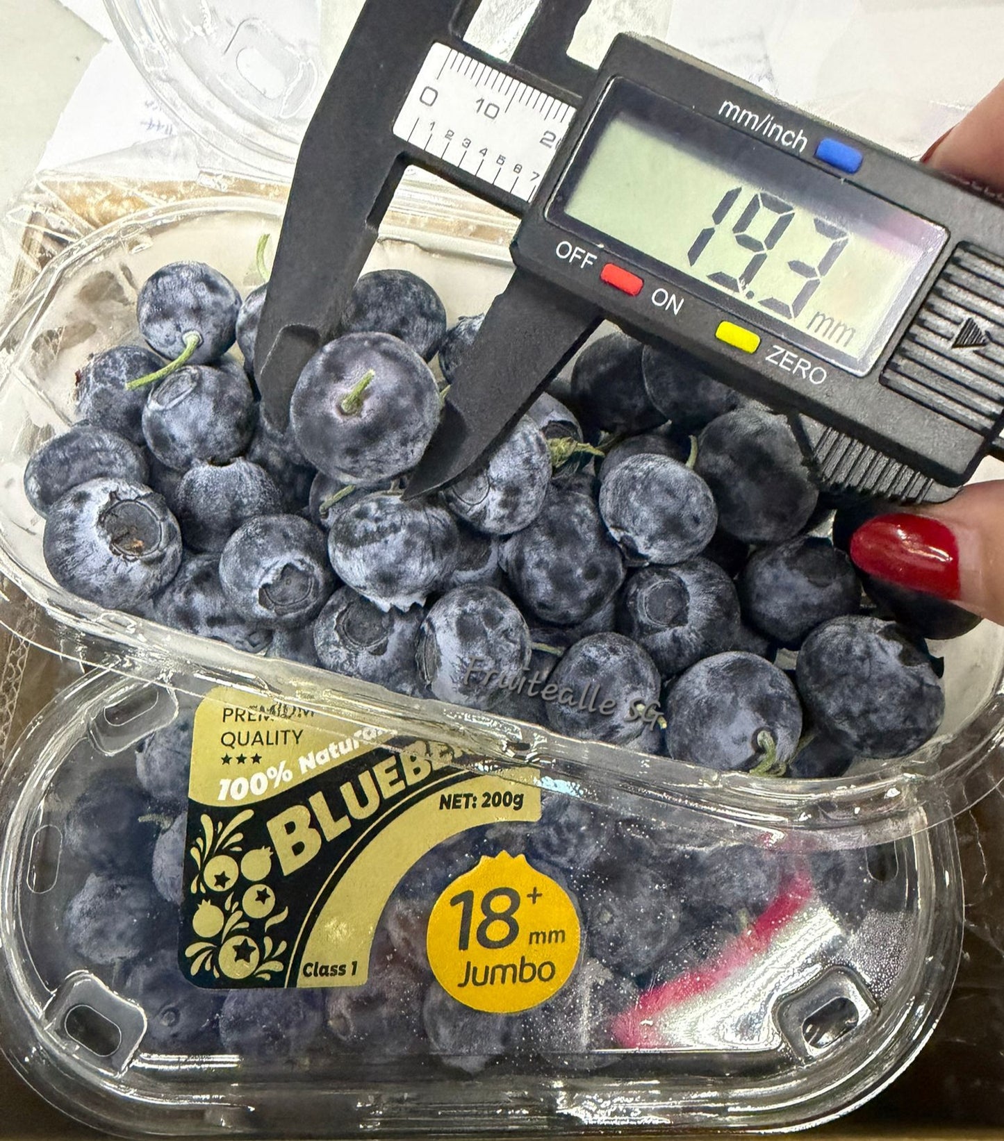 Blueberry - Jumbo [18mm+] Blueberries 200gm