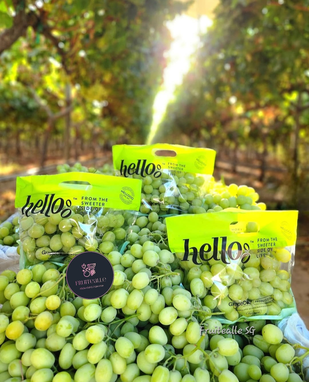 Grapes - Green Seedless [Sweet Globe®] | by Hellooo™ Exclusive