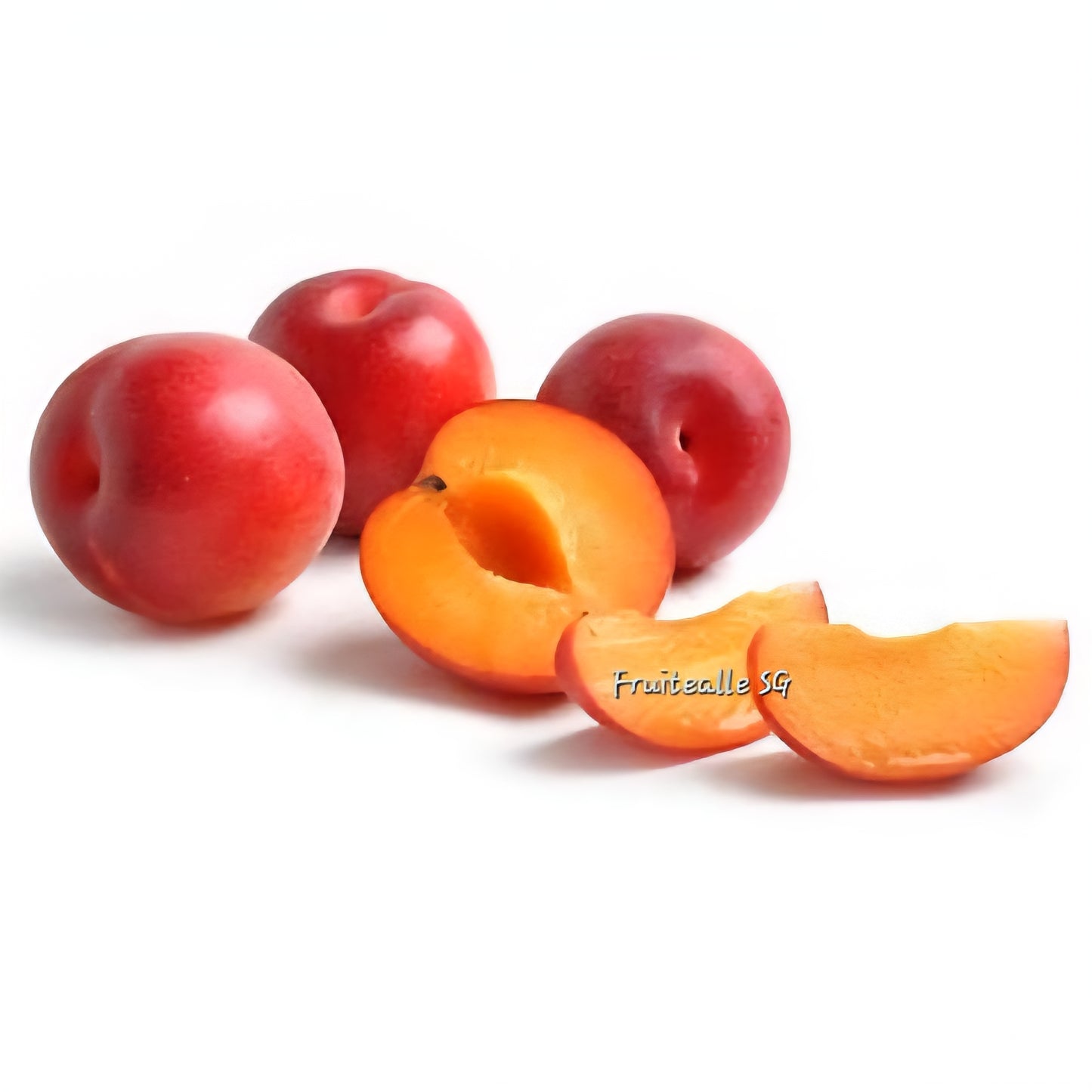 Plum - USA Crimson Velvet™ Plumcot | Dino Orchards
