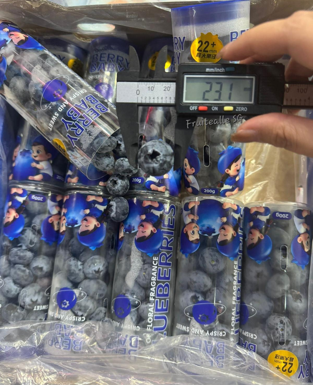 Blueberry - Jumbo [22mm+] Blueberries 200gm【Super Sweet】