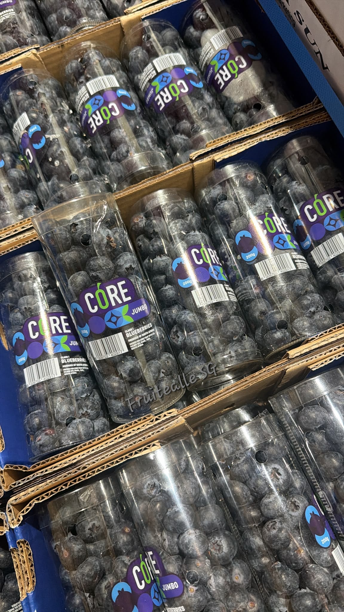 Blueberry - Super Jumbo [22mm+] Blueberries 200gm | CORE Farm South Africa
