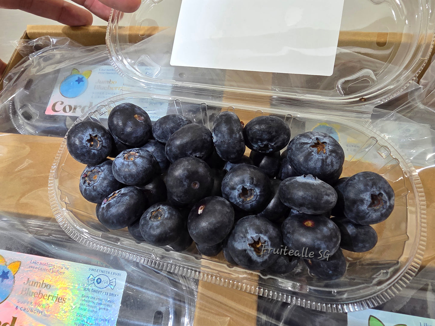 Blueberry - CORDOMA Jumbo [22mm+] Blueberries 200gm【Super Sweet】