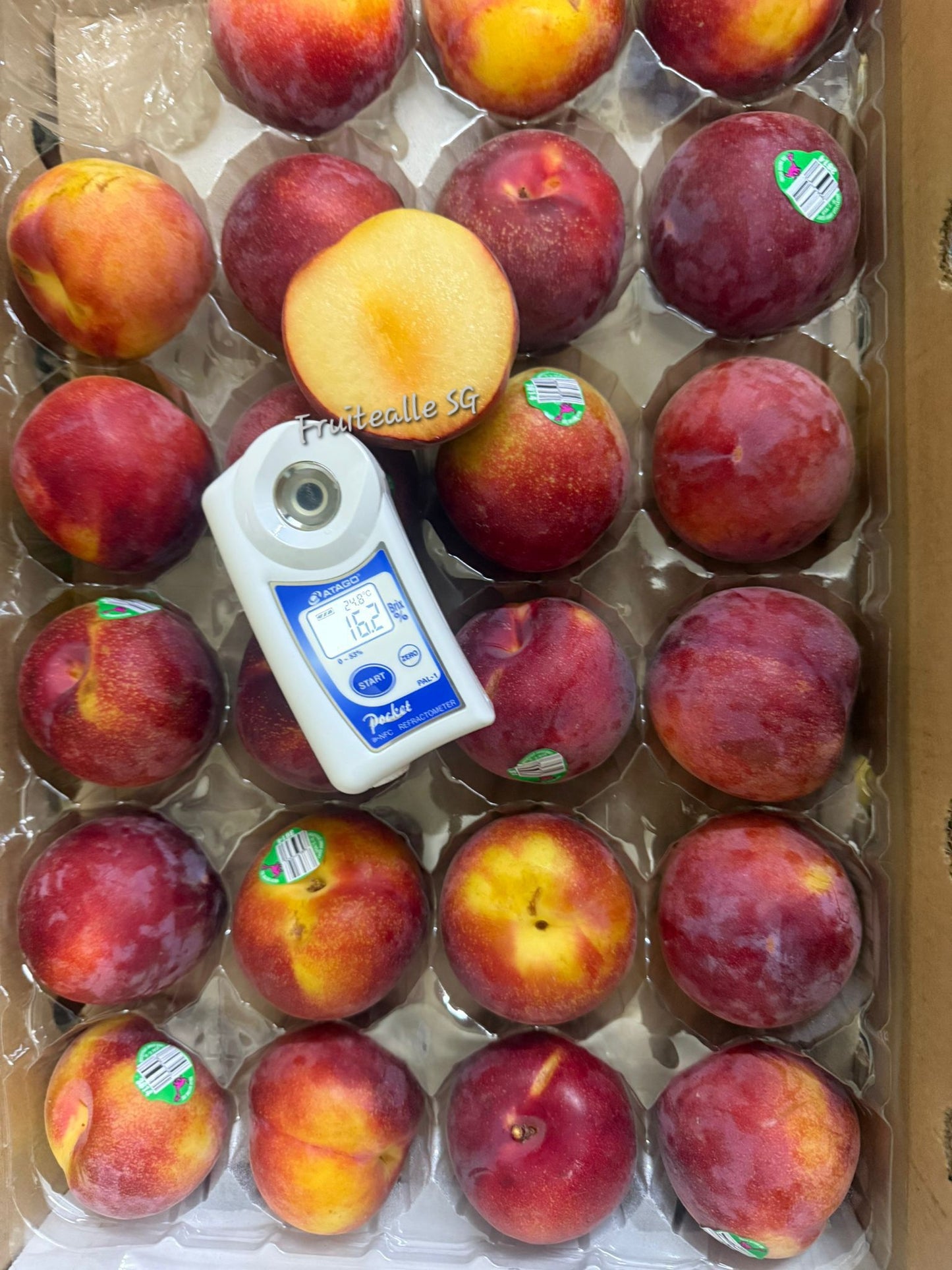 Plum - USA Crimson Velvet™ Plumcot | Dino Orchards