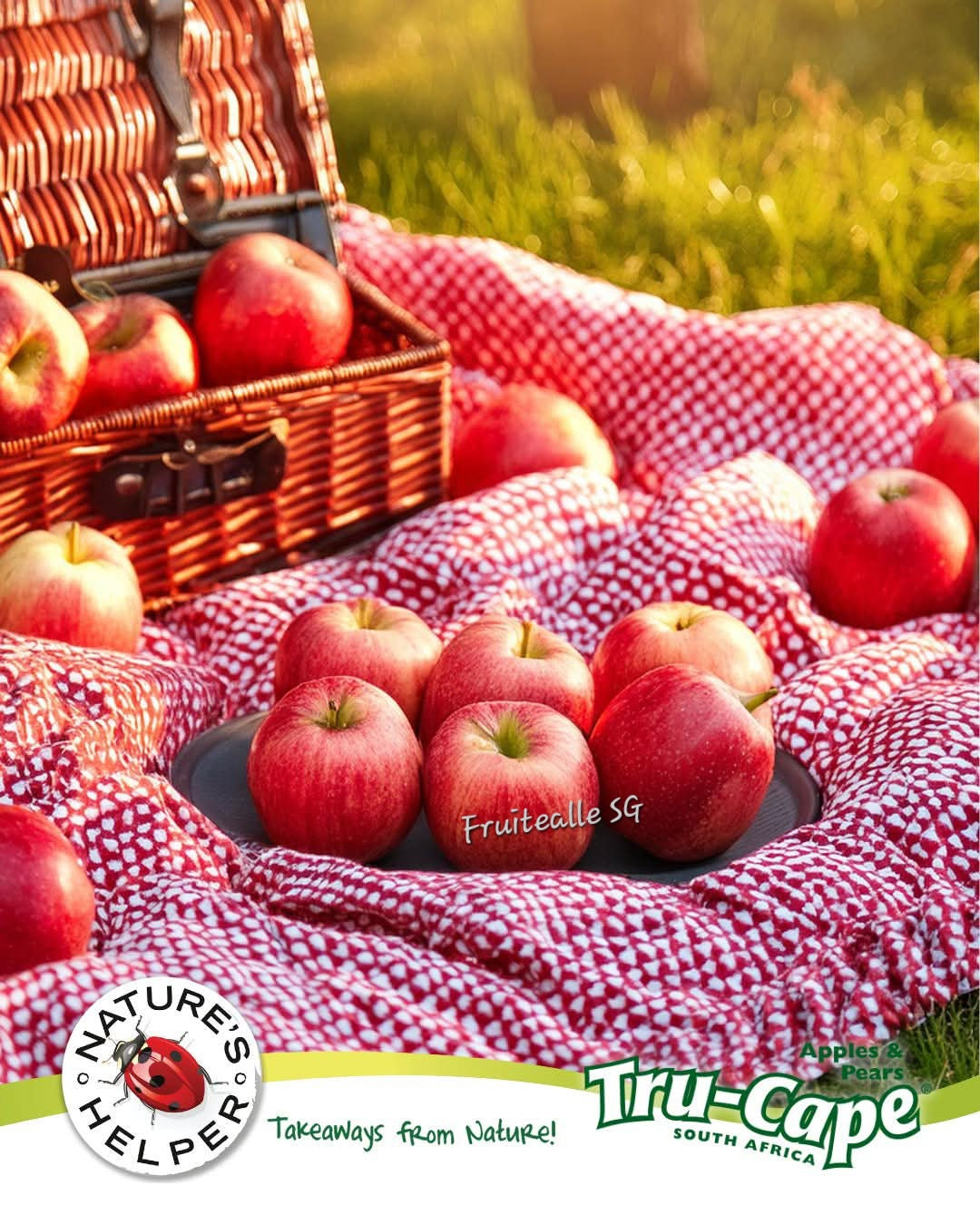 Apple - Tru-Cape® South Africa Apple