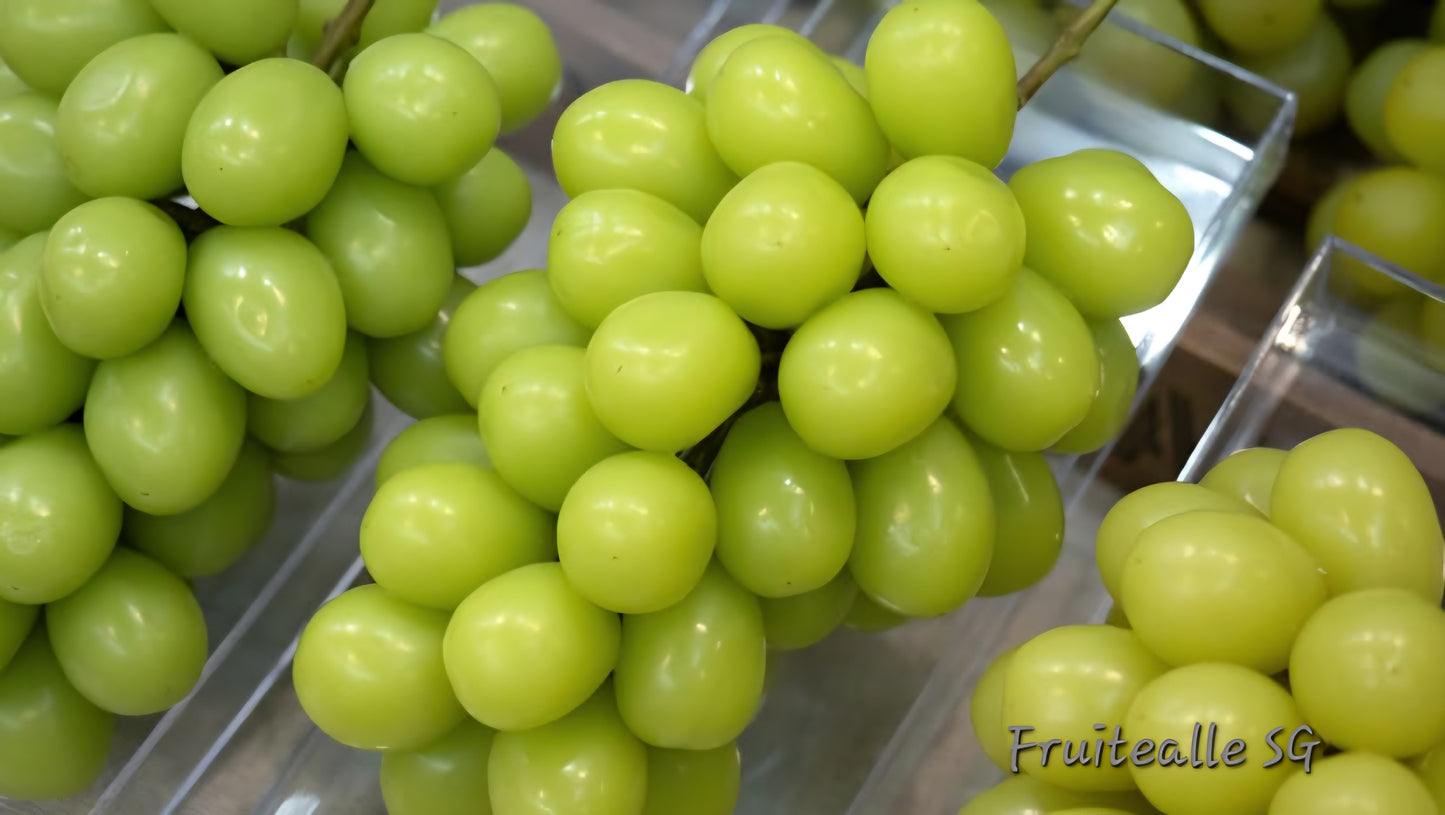 Grapes - Prestige Shine Muscat | 800gm