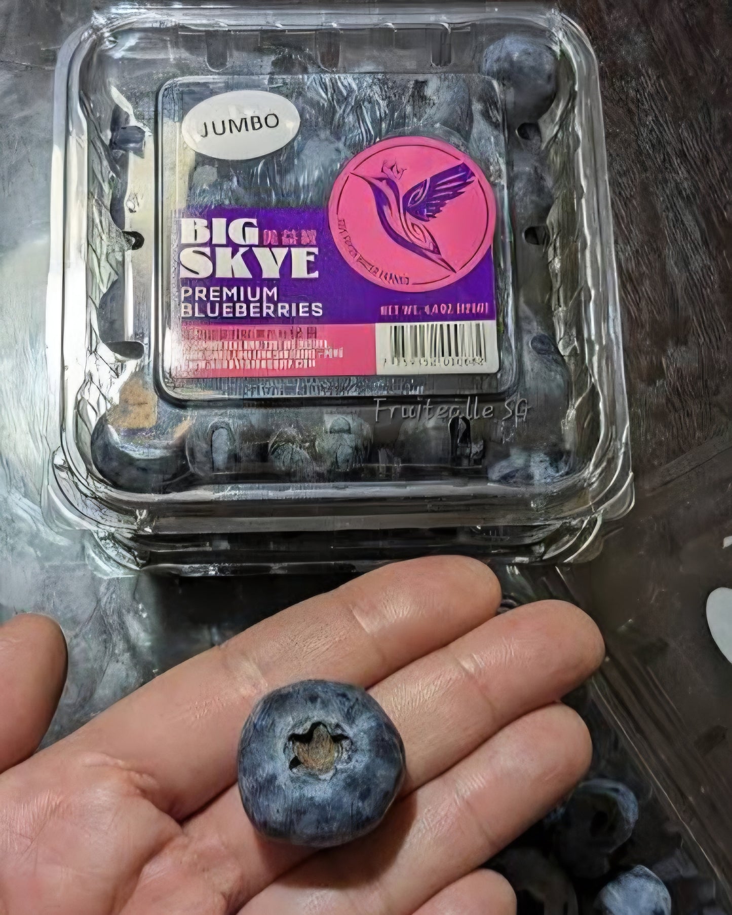 Blueberry - Jumbo [18mm+] Blueberries 125gm | BIG Skye Farm