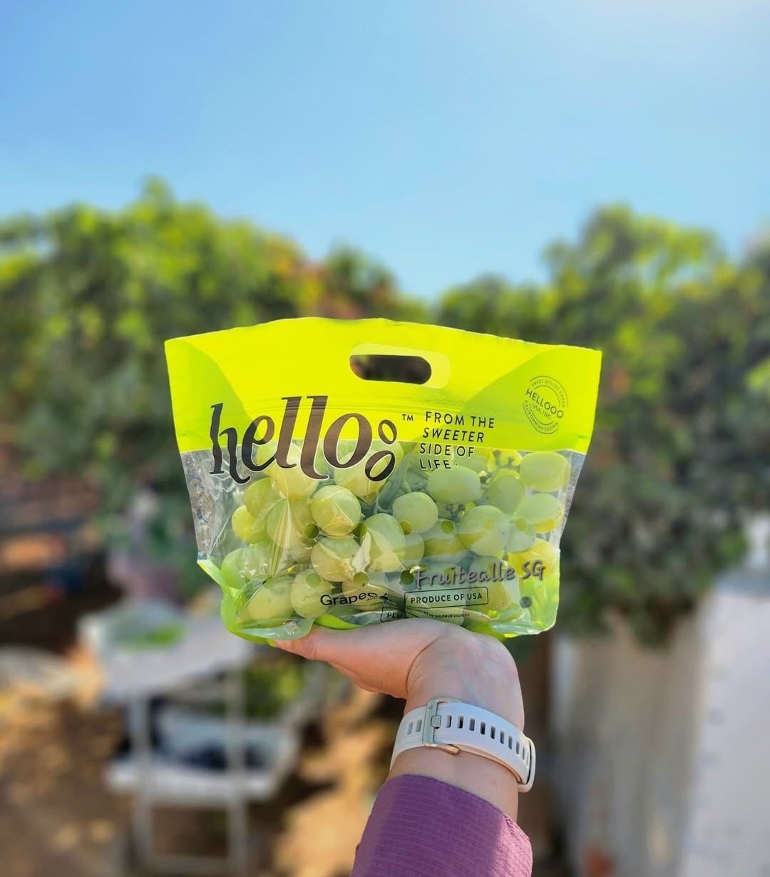 Grapes - Green Seedless [Sweet Globe®] | by Hellooo™ Exclusive