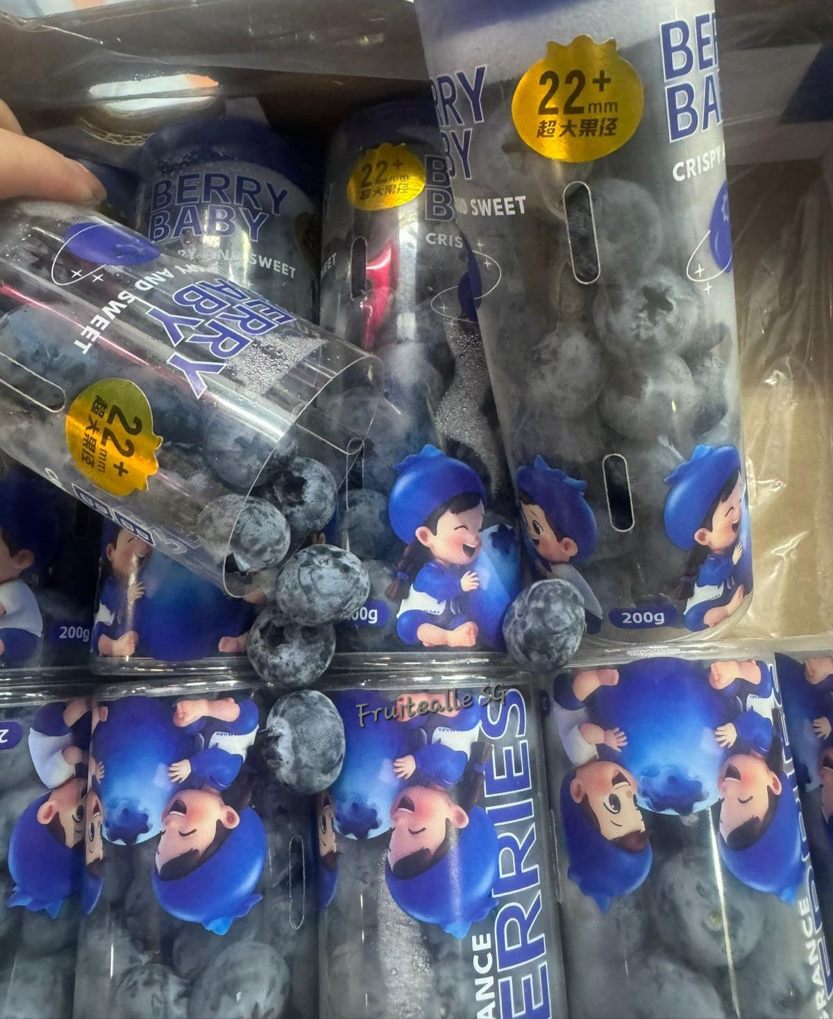 Blueberry - Jumbo [22mm+] Blueberries 200gm【Super Sweet】