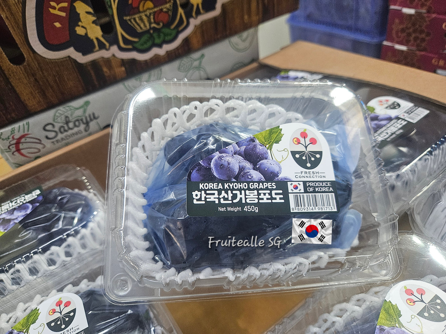 Grapes - Korea Seedless Kyoho 샤인 머스캣 450gm | 韩国巨峰葡萄无籽