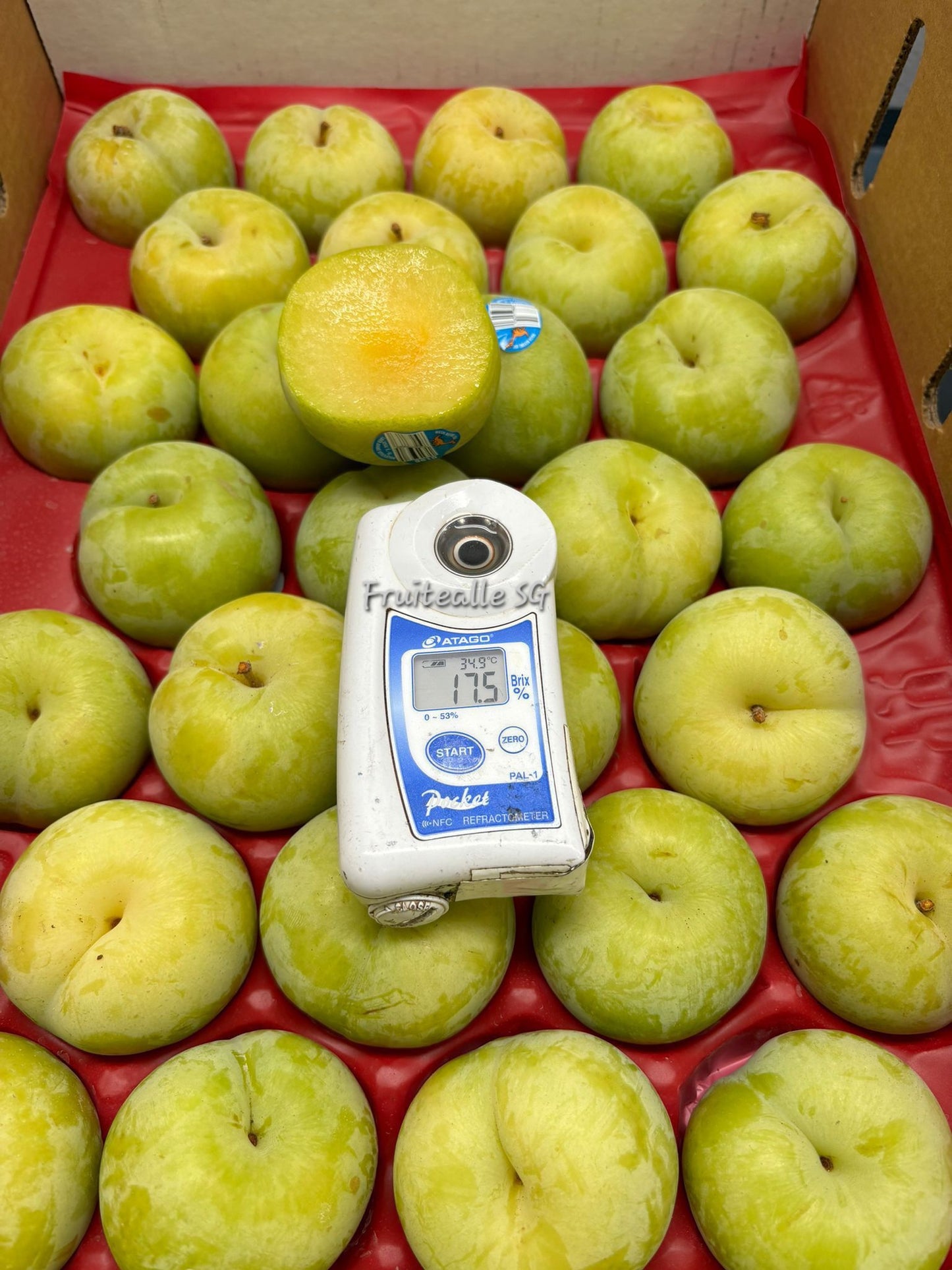 Plums - USA Flavour Queen Plum | Dino Orchards
