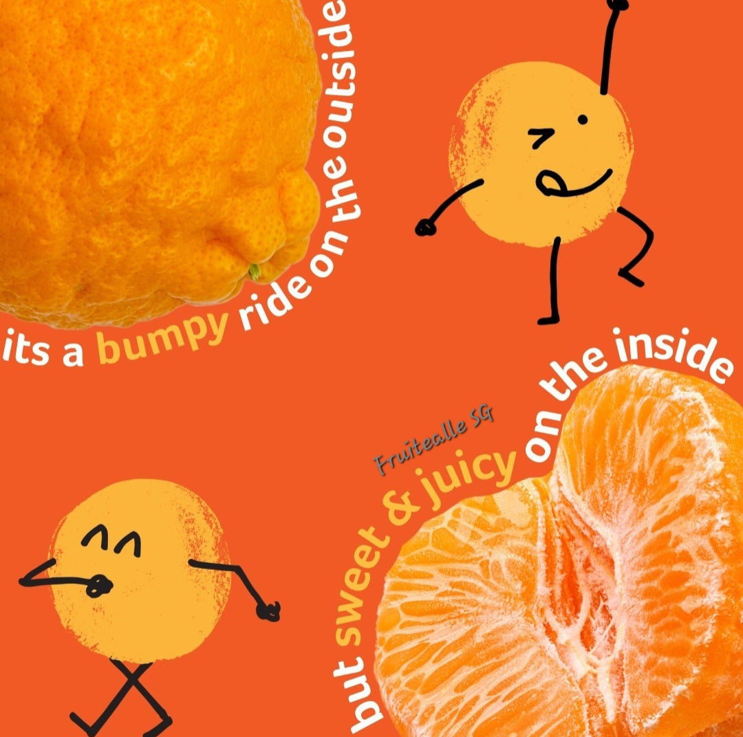 Oranges - Summerina Seedless Mandarins | Australia