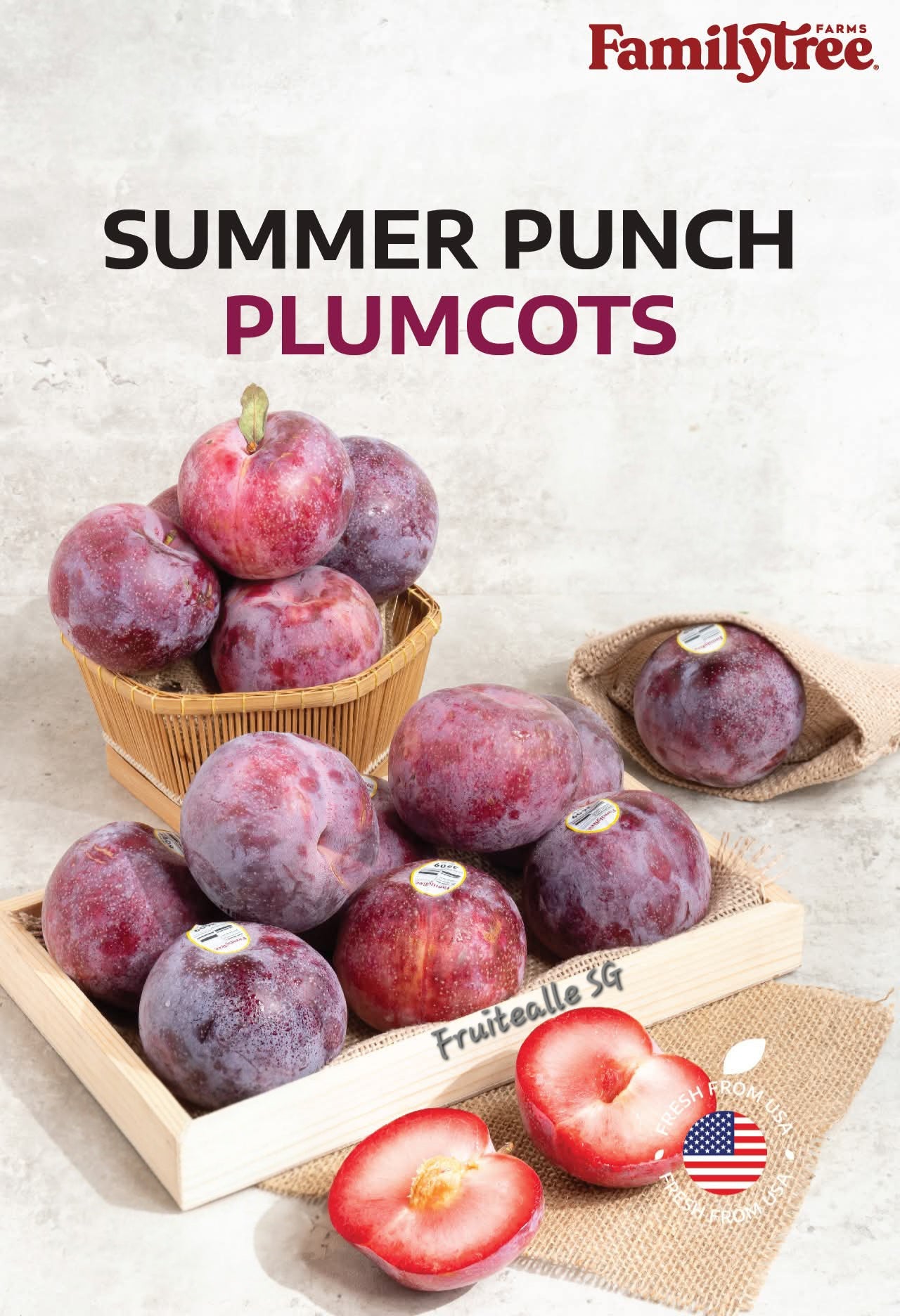 Plum - Red Summer Punch | FamilyTree USA