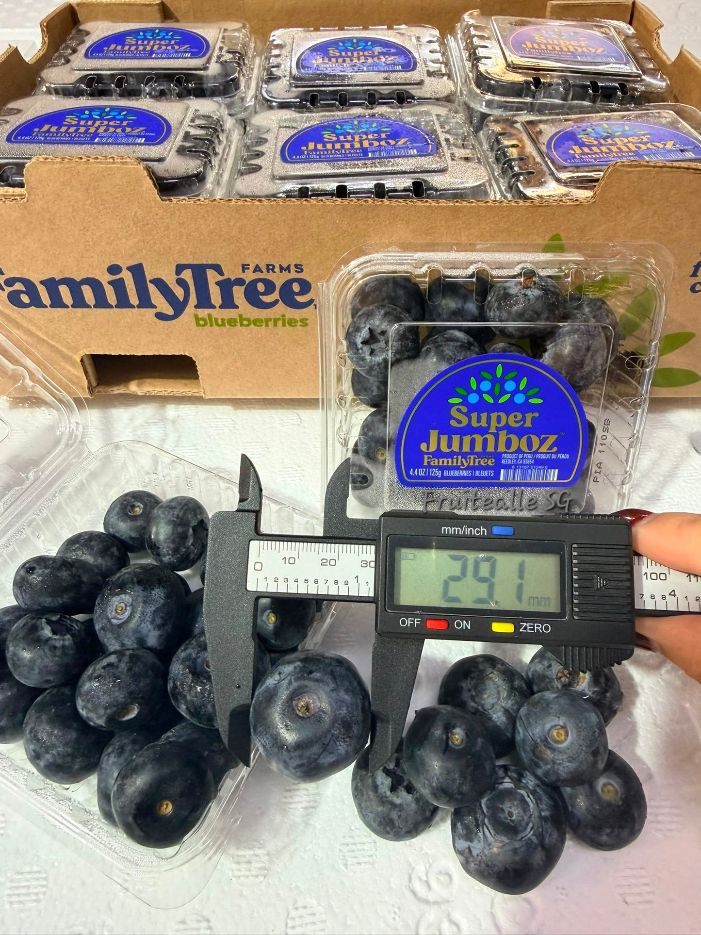 Blueberry  - Super Jumboz Blueberry 125gm [FamilyTree Farm] | Peru Blueberries