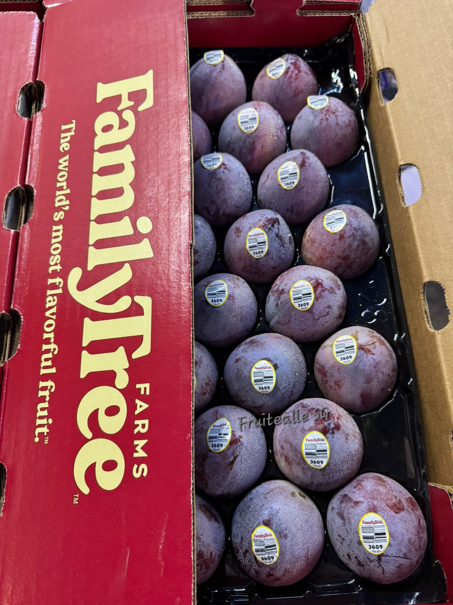 Plum - USA Flavor Fall Interspecific™ Plum | Family Tree Orchards