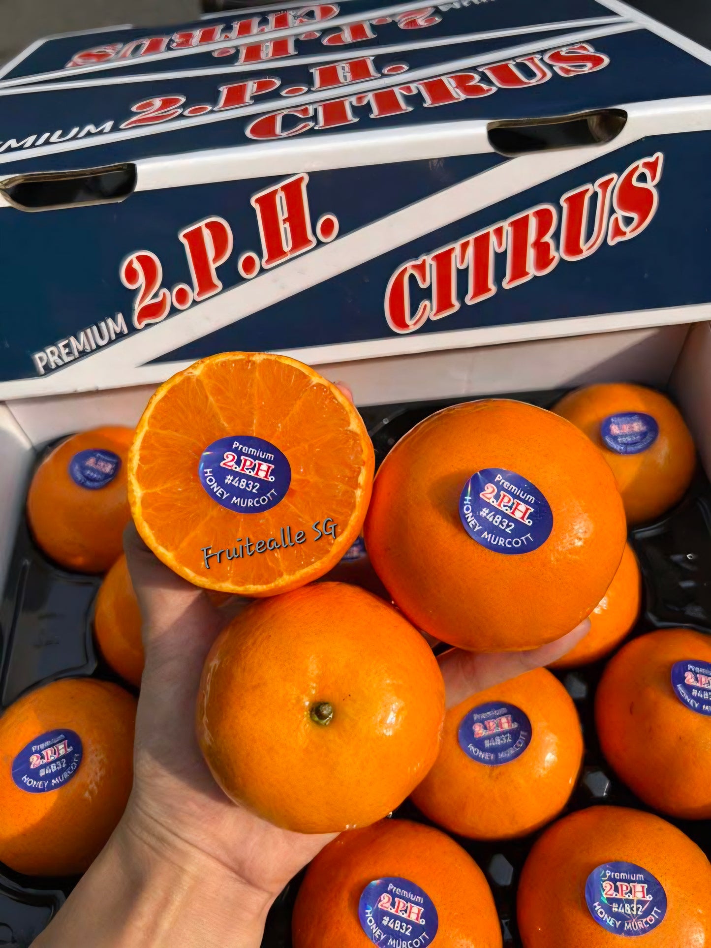 Oranges - Honey Murcott Oranges | 2PH Orchard