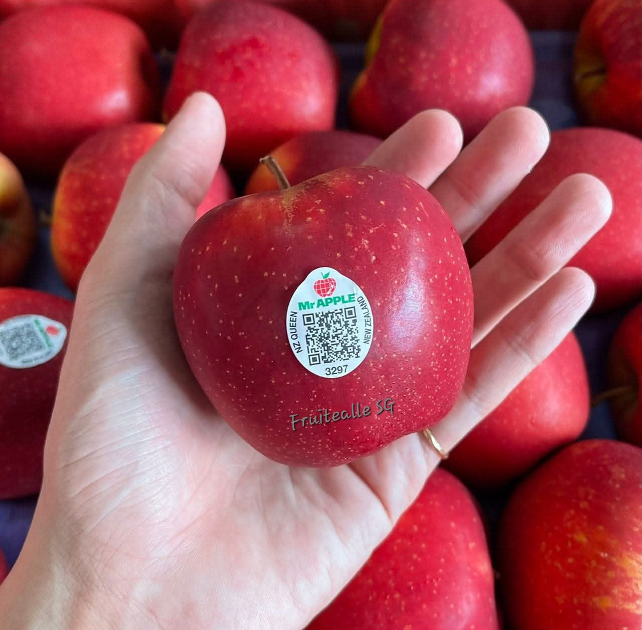 Apple - NZ Queen Apple | [Mr.Apple] New Zealand