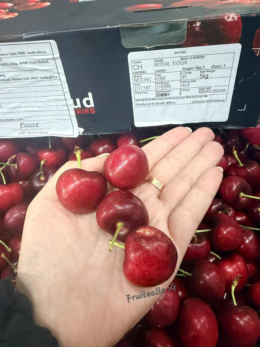 Cherry - SA Red Cherries | Medium Large 30/32mm