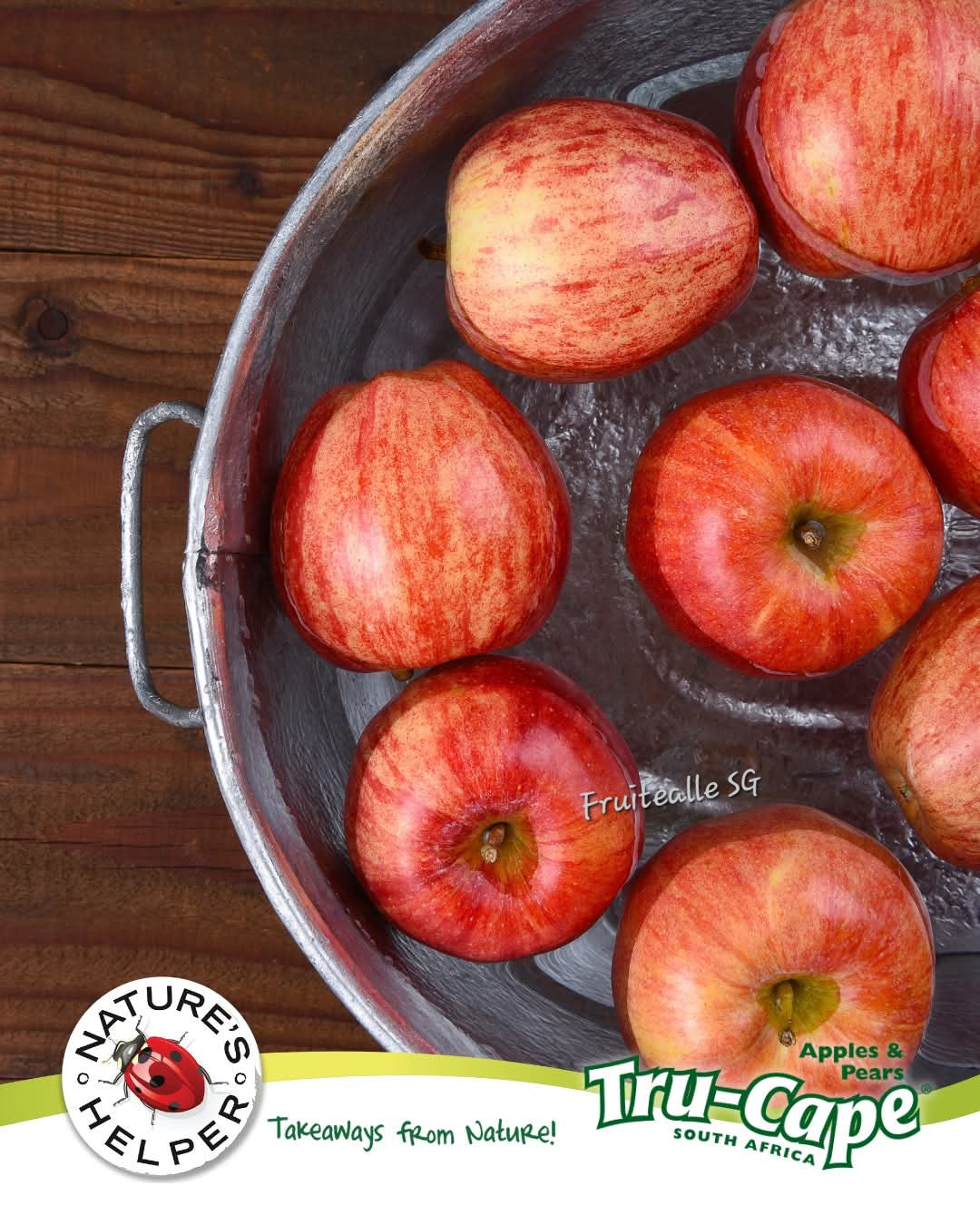 Apple - Tru-Cape® South Africa Apple