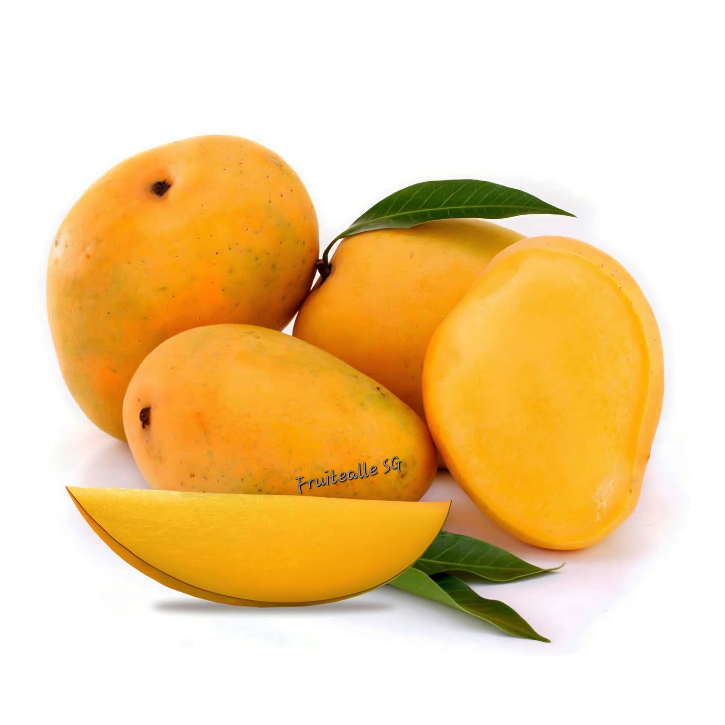 Mango - Myanmar Mango [SEIN TA LONE]