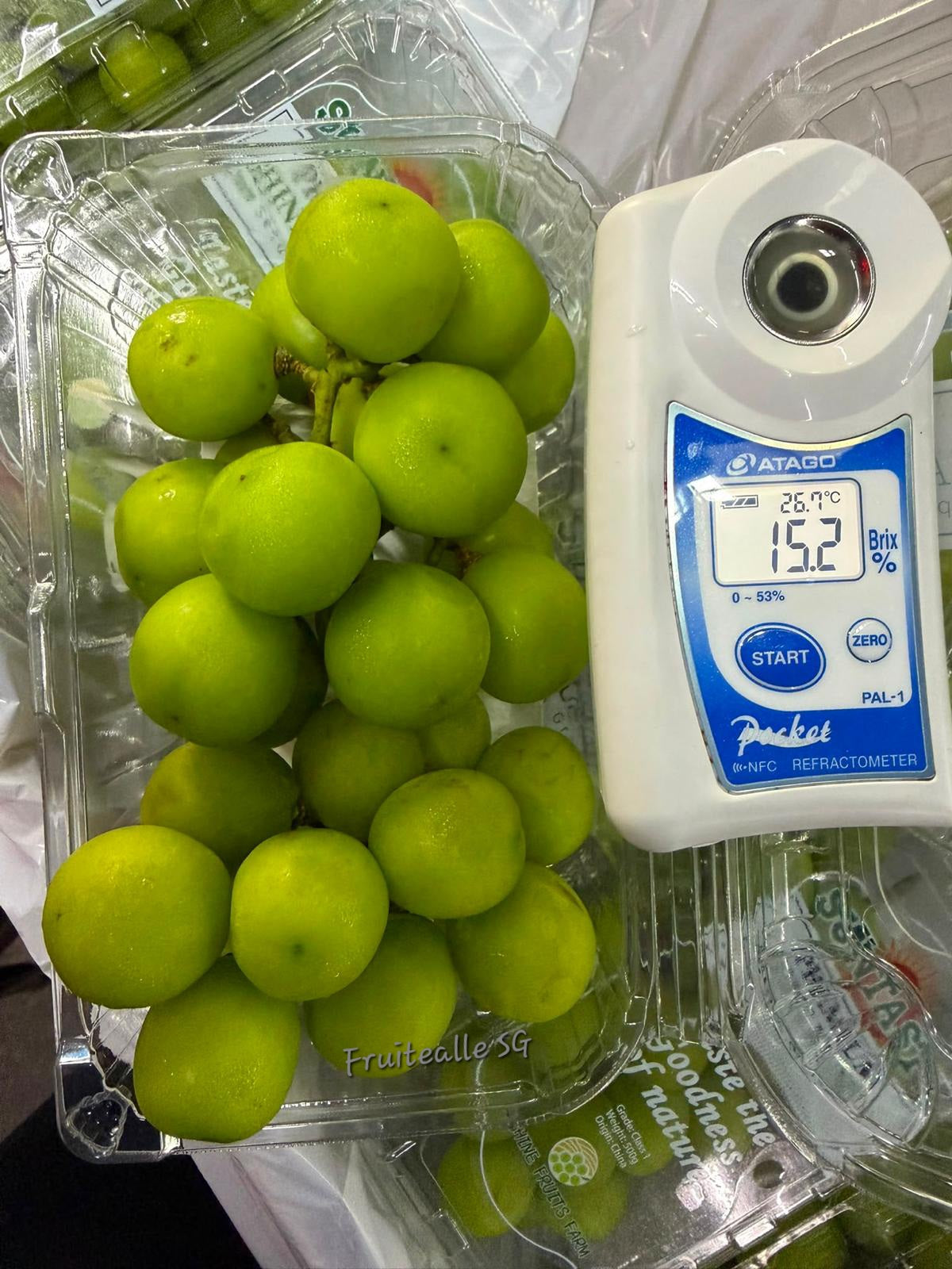 Grapes - Prestige Shine Muscat | 500gm