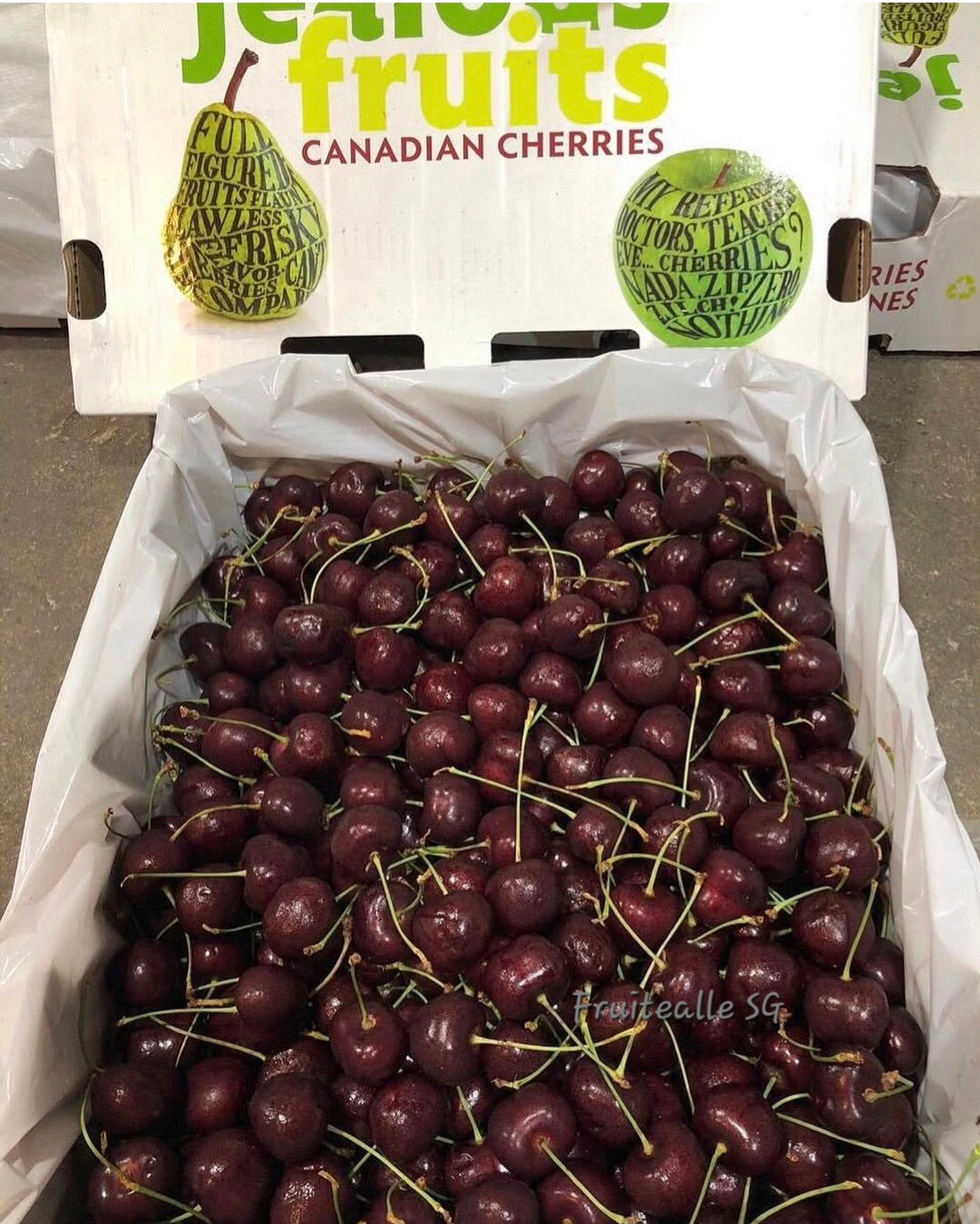 Cherries - Canada Red Cherry | Regular Size 28mm
