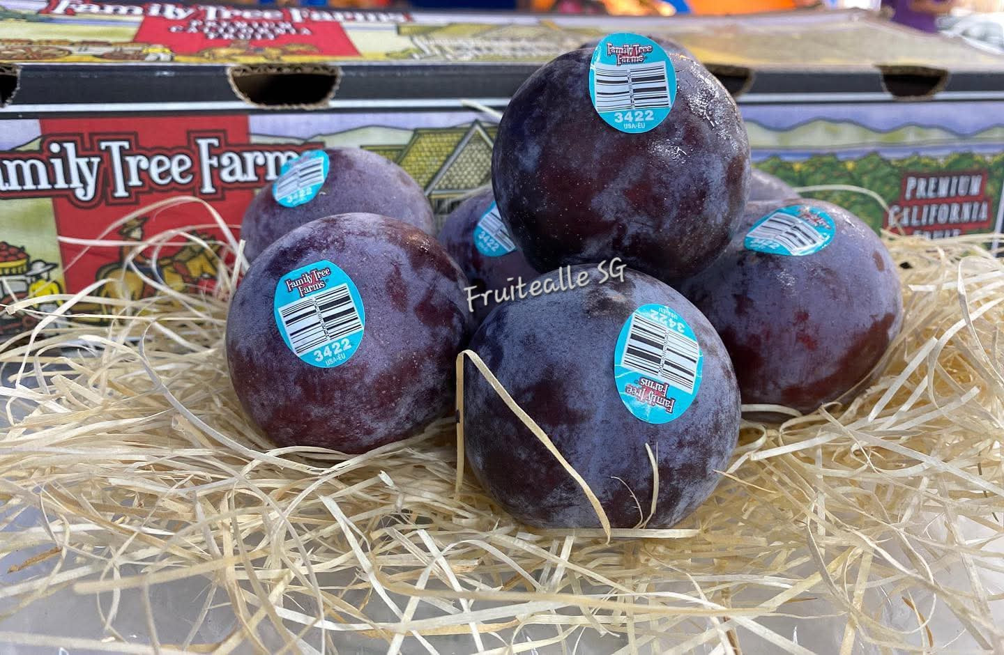 Plum - USA Midnight Rose™ Apricots Plum/ Aprium | Family Tree Orchards