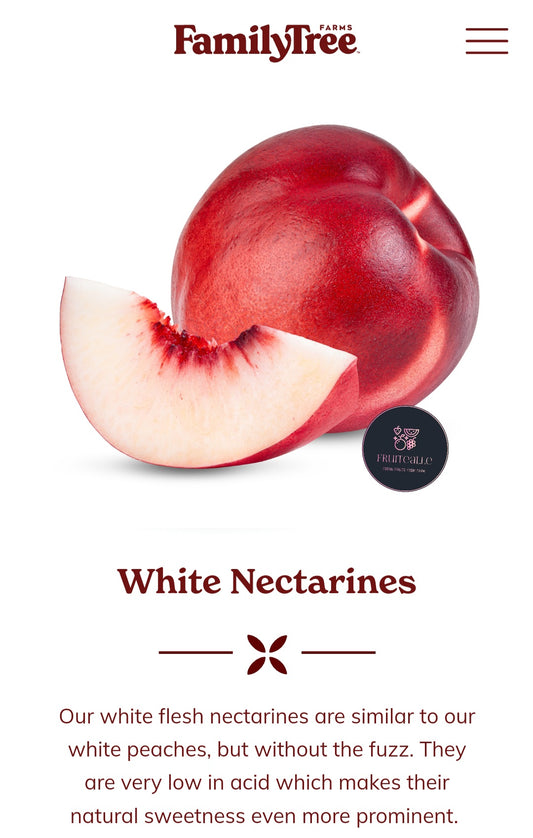 Nectarine - White Nectarine from USA [FamilyTree Farm]