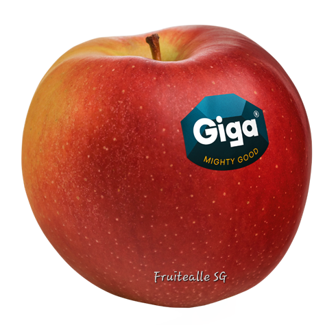 Apple - South Africa Giga Crunchy Apple | Regular size