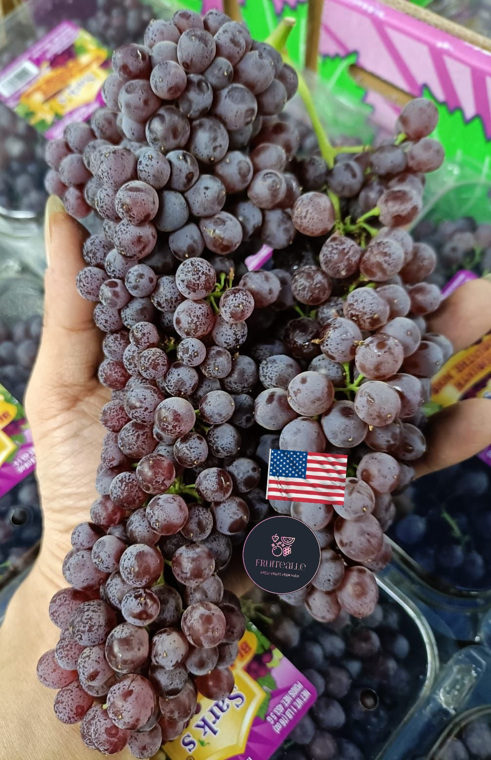 Grapes - Champagne Seedless Grapes from USA
