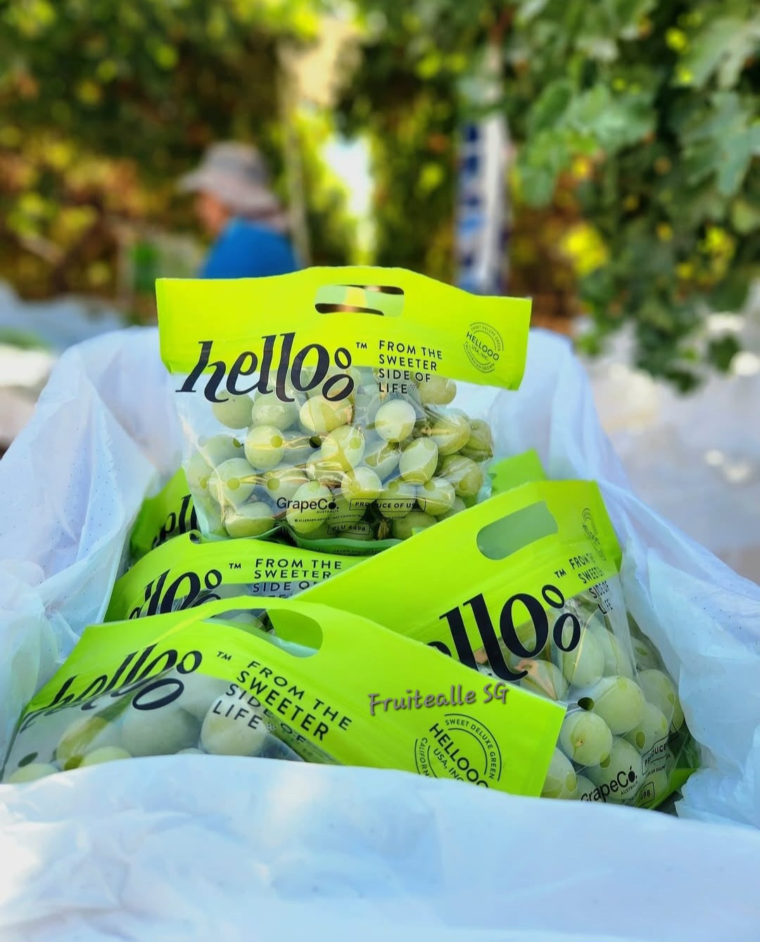 Grapes - Green Seedless [Sweet Globe®] | by Hellooo™ Exclusive