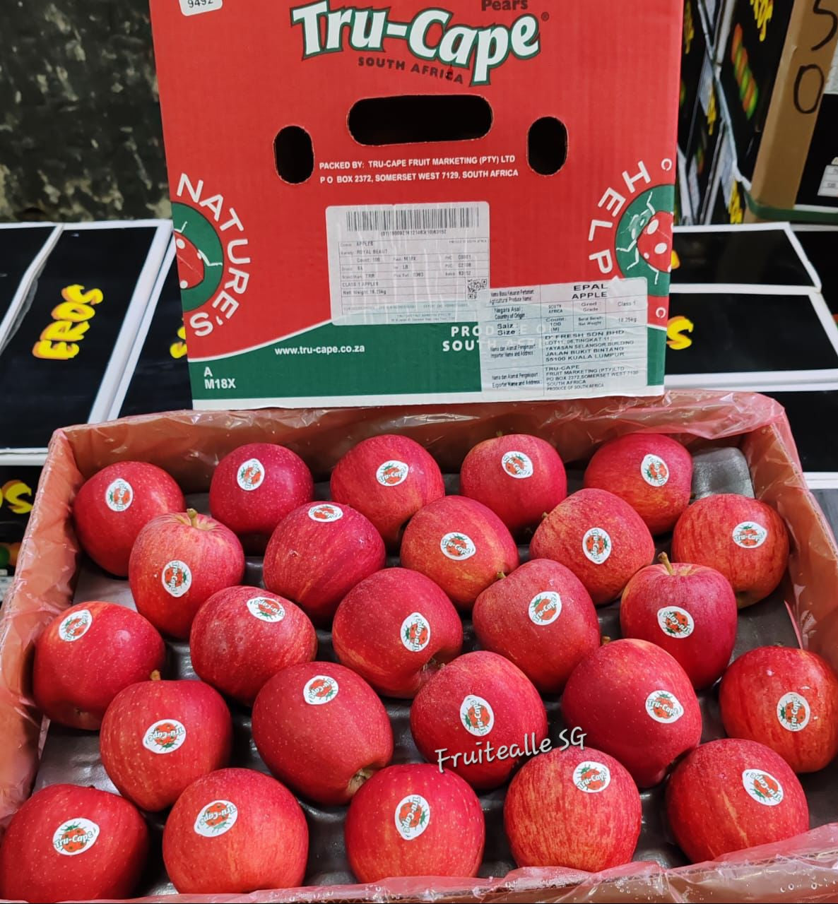 Apple - Tru-Cape® South Africa Apple