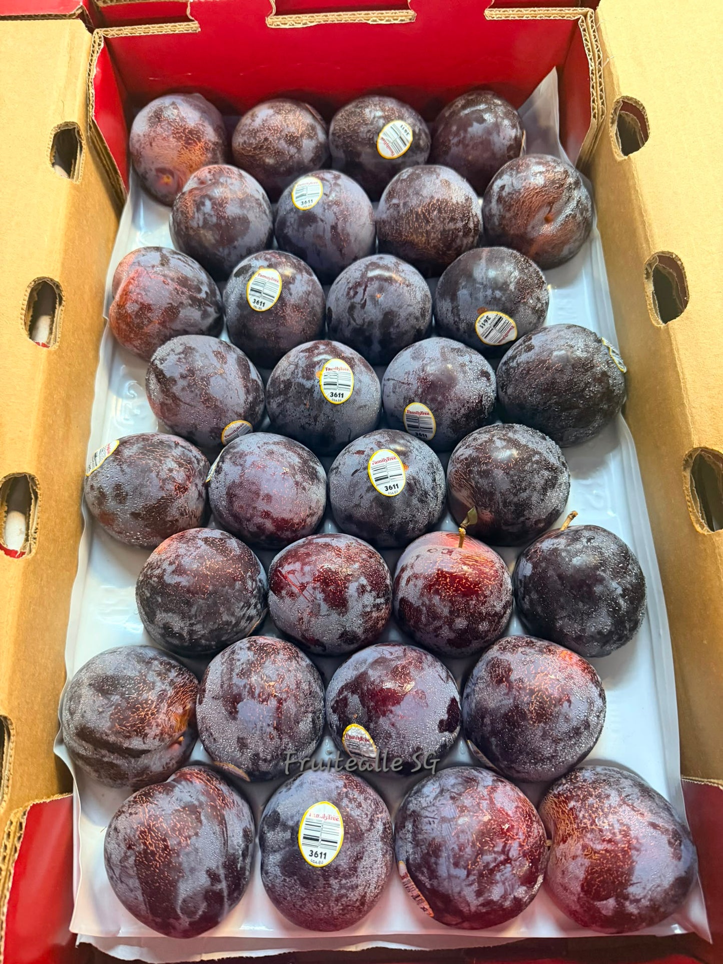Plum - USA King Kong™ Plumcot | Family Tree Orchards