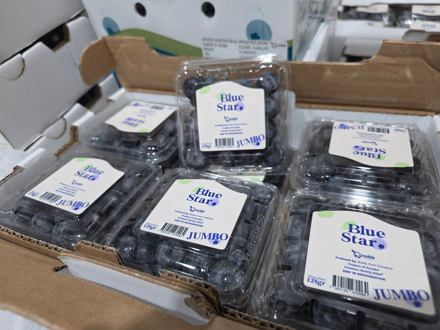 Blueberry - Jumbo Blueberry 125gm [BlueStar] | Ecuador (Size 14mm)