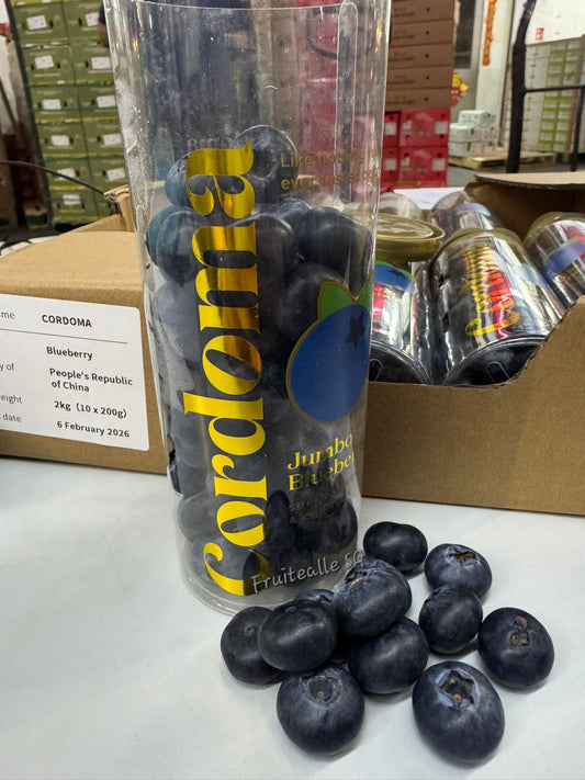 Blueberry - CORDOMA Large [18/20mm+] Blueberries 200gm【Super Sweet】