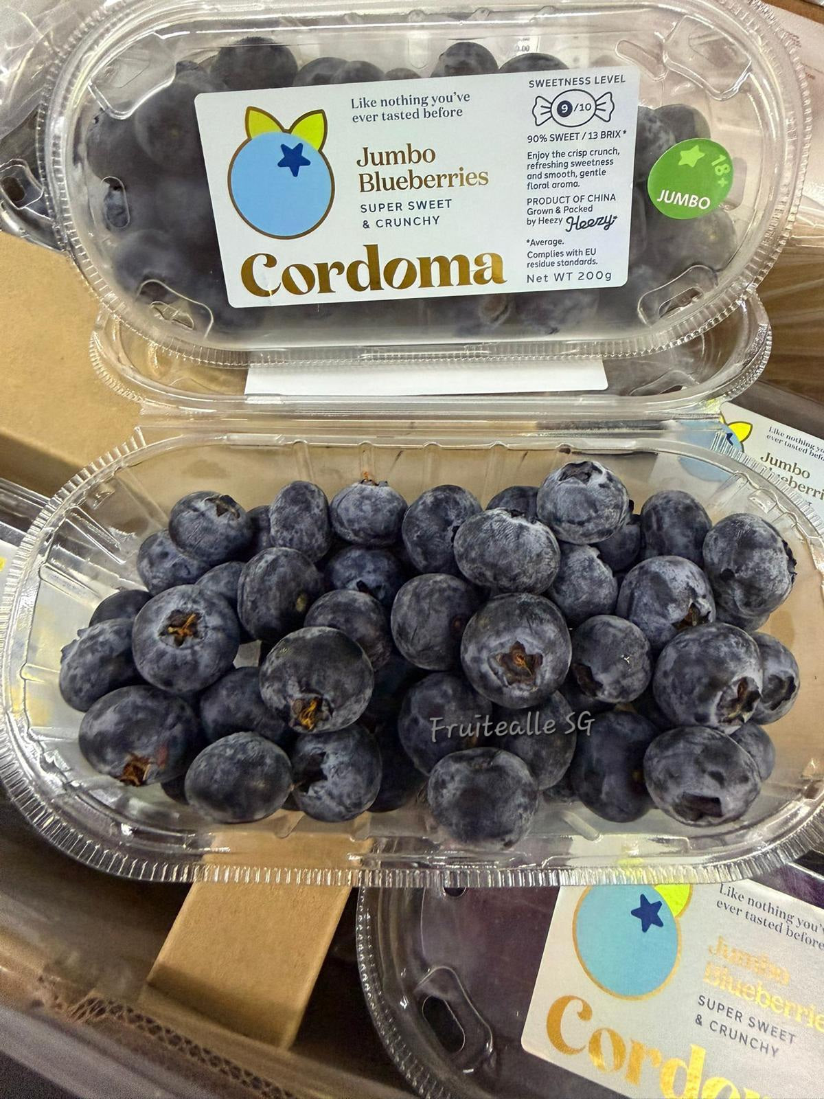 Blueberry - CORDOMA Large [18mm+] Blueberries 200gm