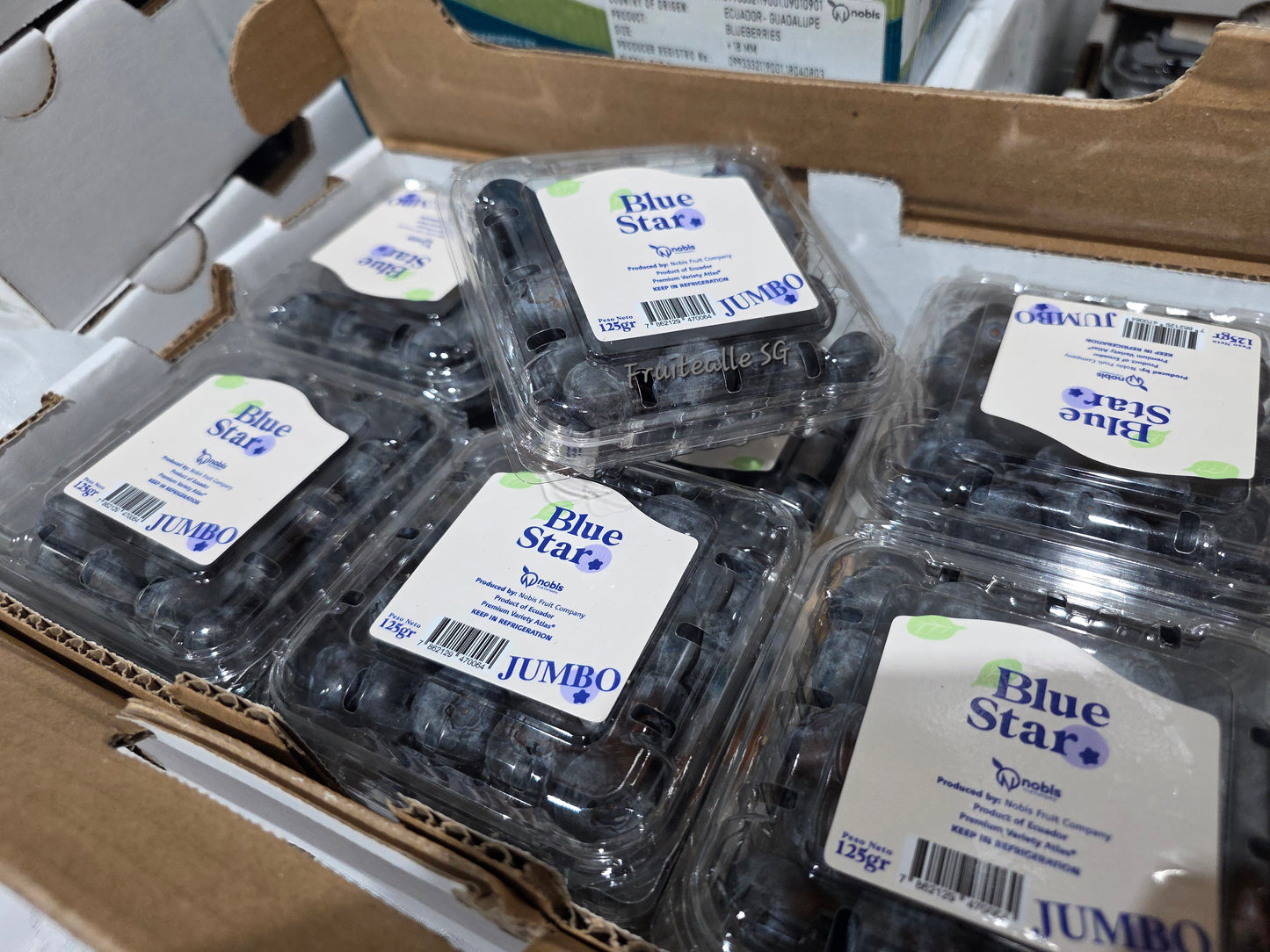 Blueberry - Jumbo Blueberry 125gm [BlueStar] | Ecuador (Size 14mm)