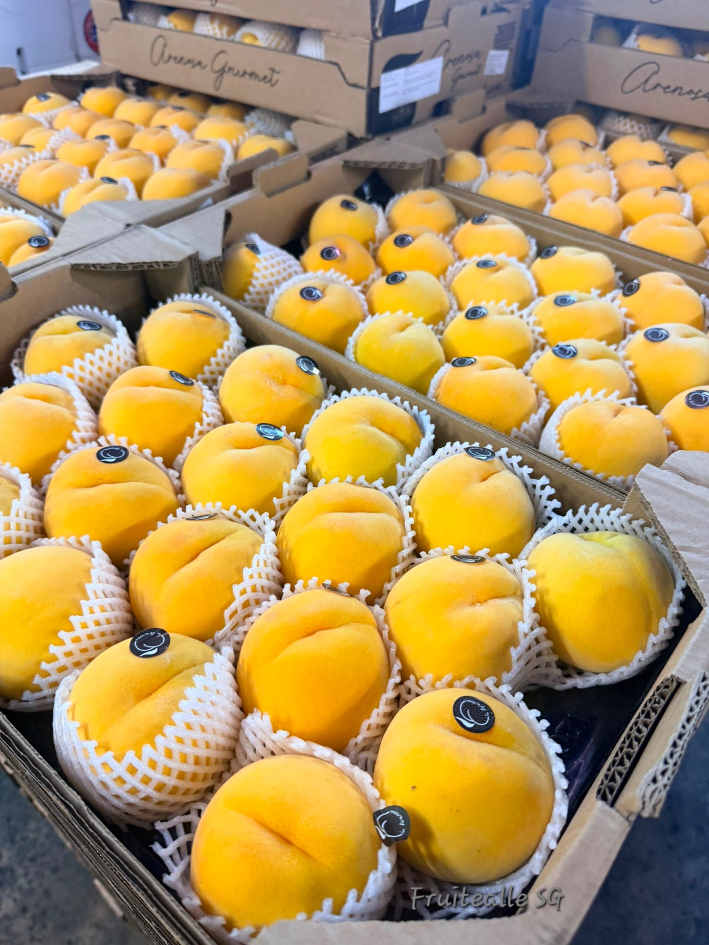 Peach - Spain Yellow Peaches