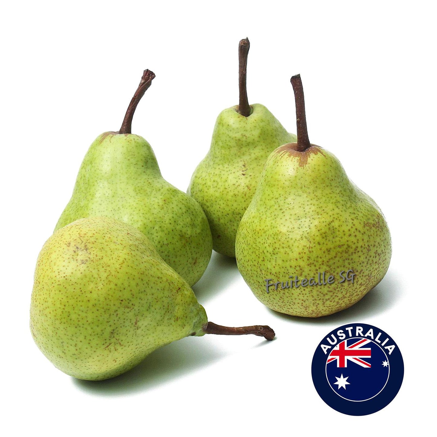 Pear - Australia Packham Triumph Pear