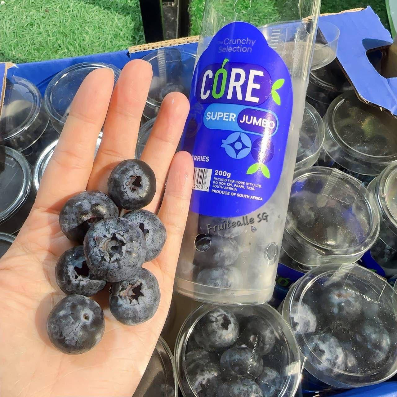 Blueberry - Super Jumbo [22mm+] Blueberries 200gm | CORE Farm South Africa