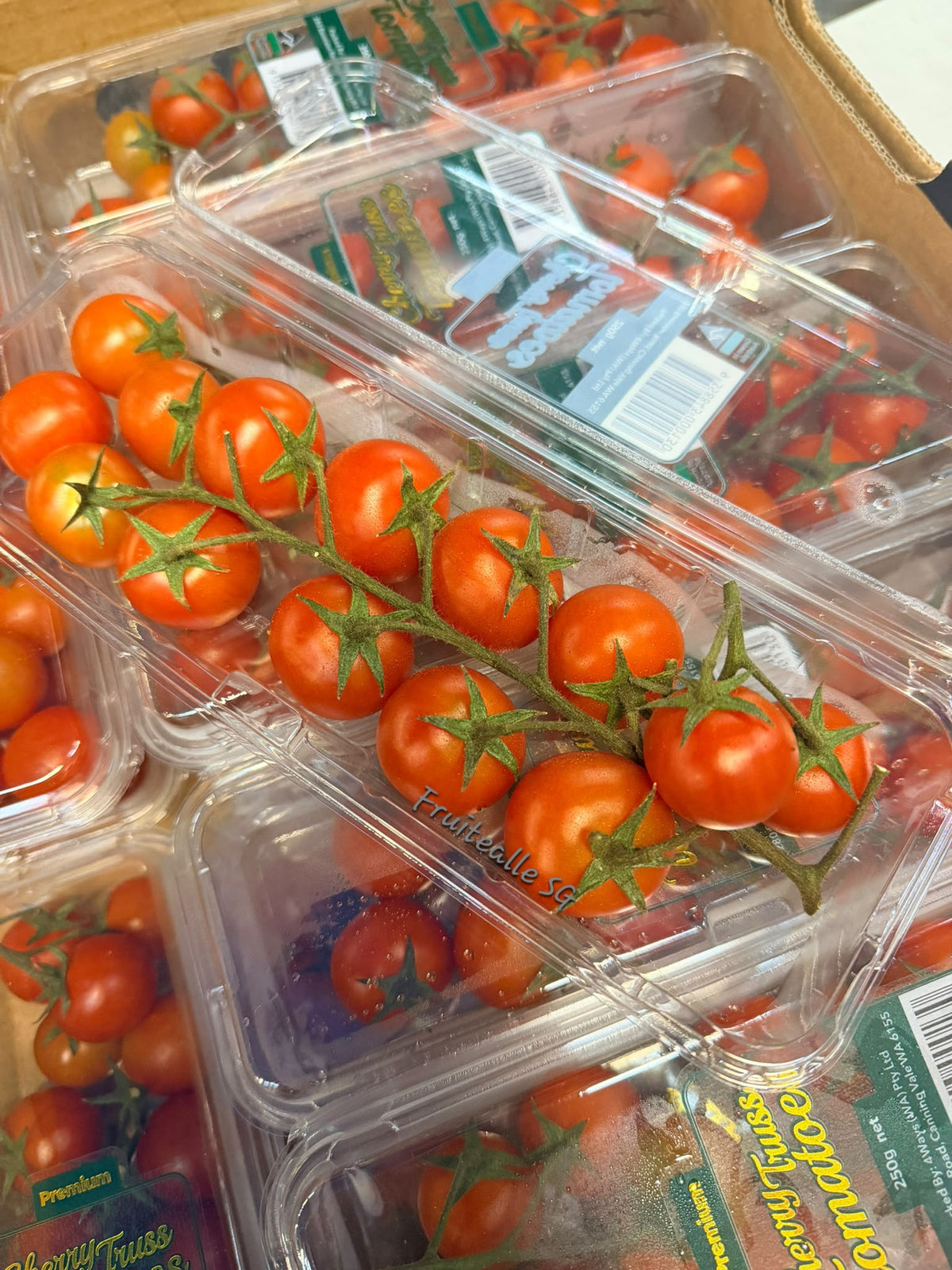 Tomato - Cherry Tomato on Vine | From Australia
