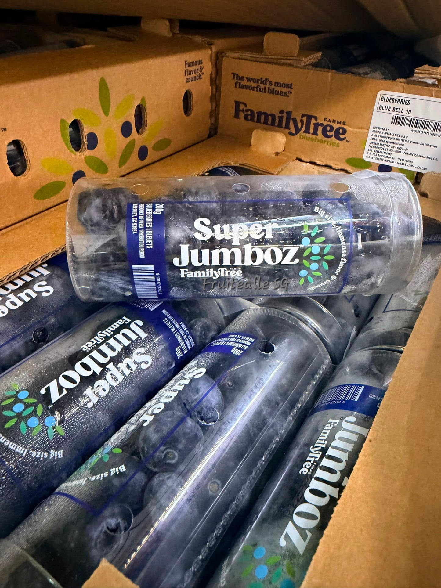 Blueberry  - Super Jumboz Blueberry 200gm [FamilyTree Farm] | Peru Blueberries