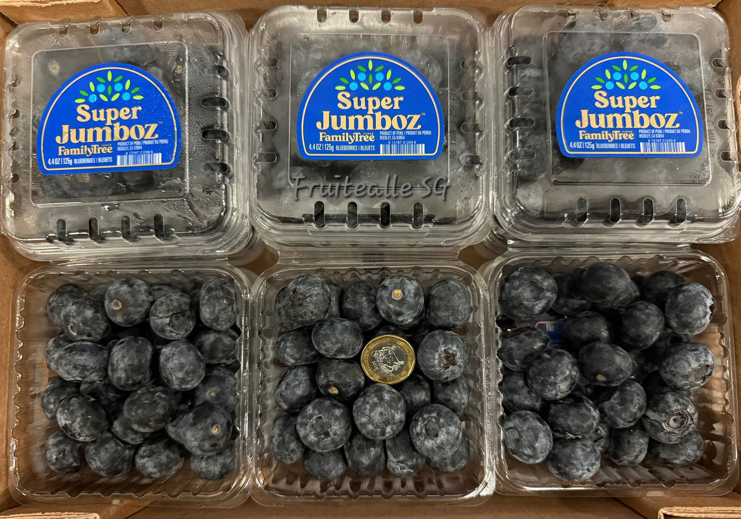 Blueberry  - Super Jumboz Blueberry 125gm [FamilyTree Farm] | Peru Blueberries