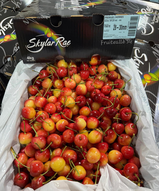 Cherry - Tasmania Skylar Rae [Rainier White] Cherries【28mm - 30mm】Regular Size