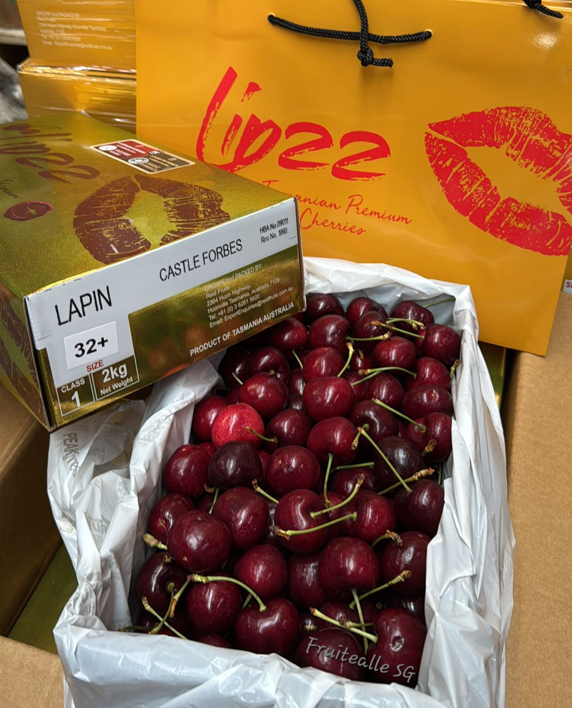 Cherry Tasmania Red Cherries | Lip22【32mm - 34mm】Large Size **2kg GiftBox Available