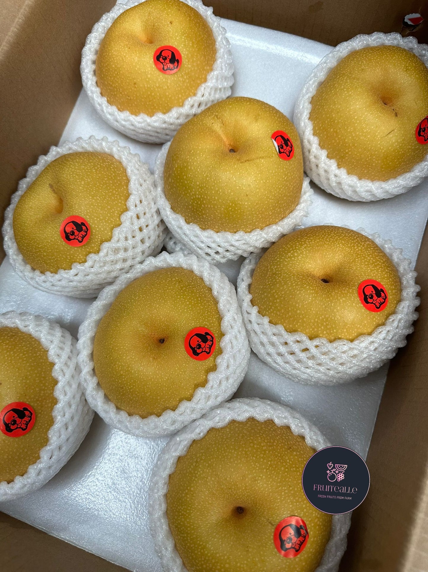 Pear - Asian Honey Pear 蜂蜜梨 | Korea Variety | Regular Size