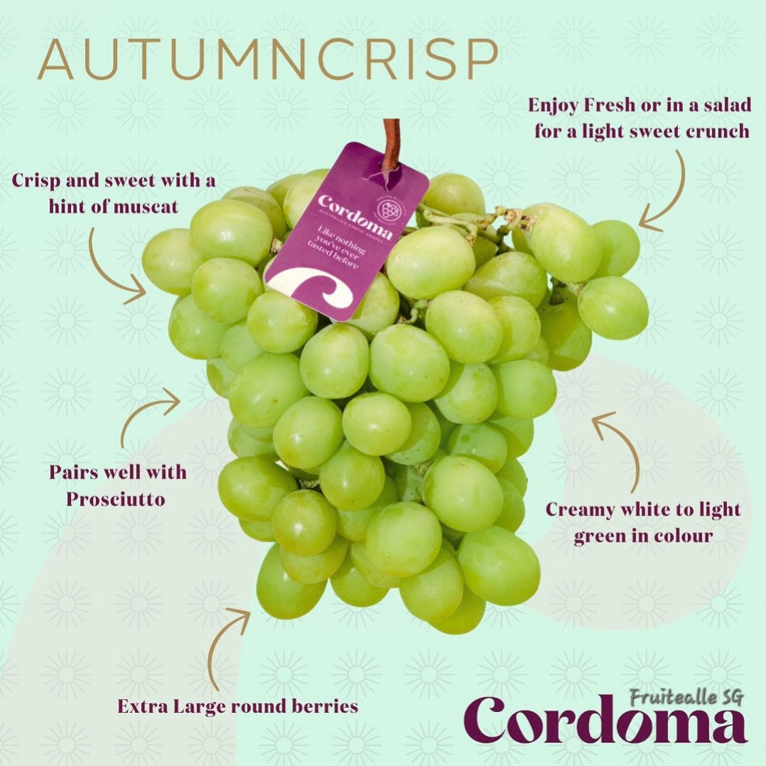 Grapes - Australia Green Seedless [AutumnCrisp®] | Cordoma Orchard
