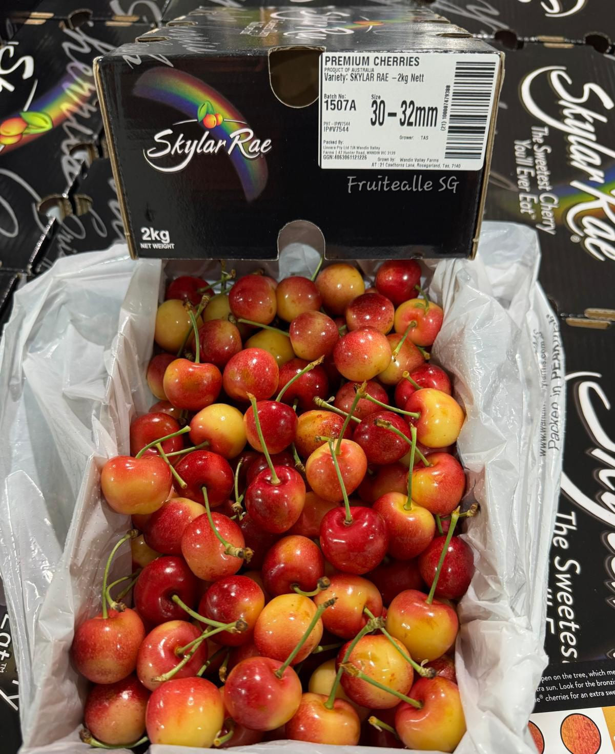 Cherry - USA Skylar Rae [Rainier White] Cherries【30mm - 32mm】Medium Large Size 9R