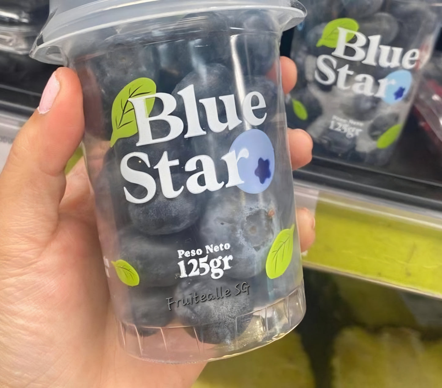 Blueberry - Ecuador Sweet Blueberries 125gm | Blue Star Farm